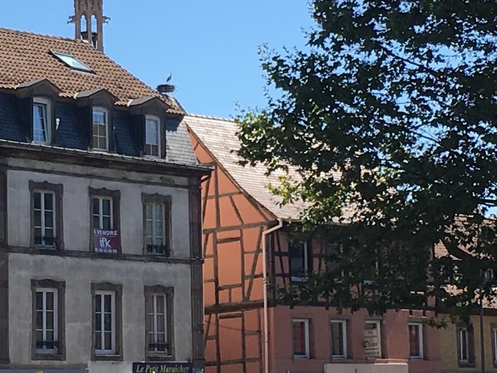 Les Hauts de Colmar Extérieur photo